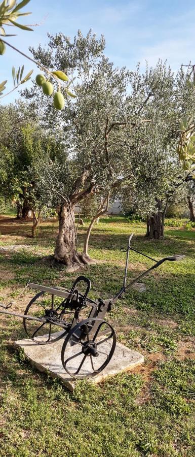 Villa Spanja Vodice Esterno foto
