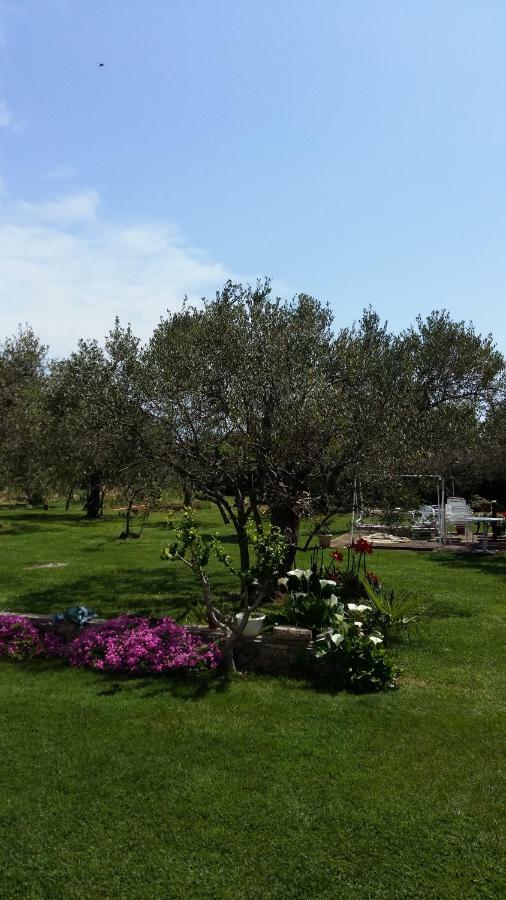 Villa Spanja Vodice Esterno foto