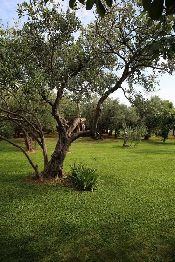 Villa Spanja Vodice Esterno foto