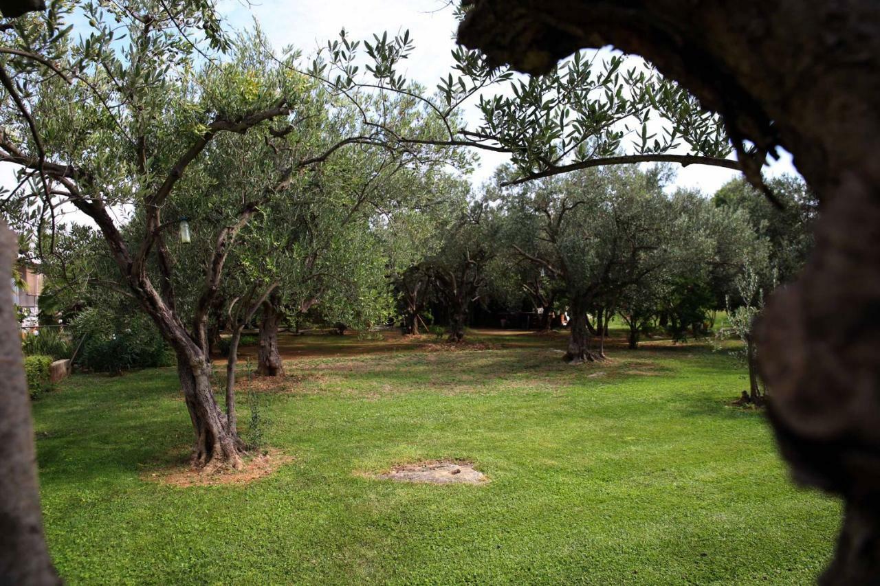 Villa Spanja Vodice Esterno foto